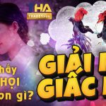 Mơ thấy gà chọi đánh lô đề con gì?